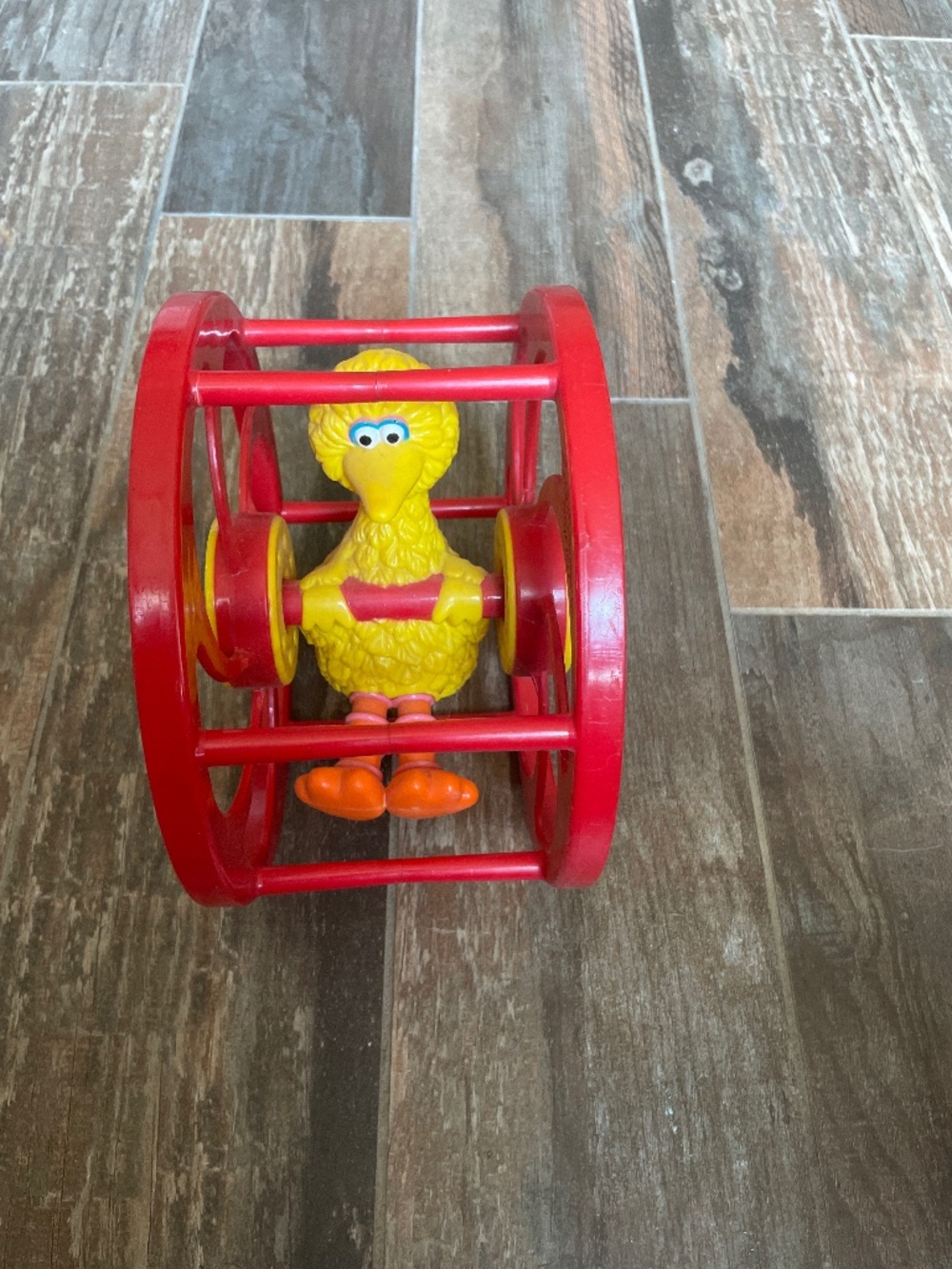 Big bird in a red circle toy